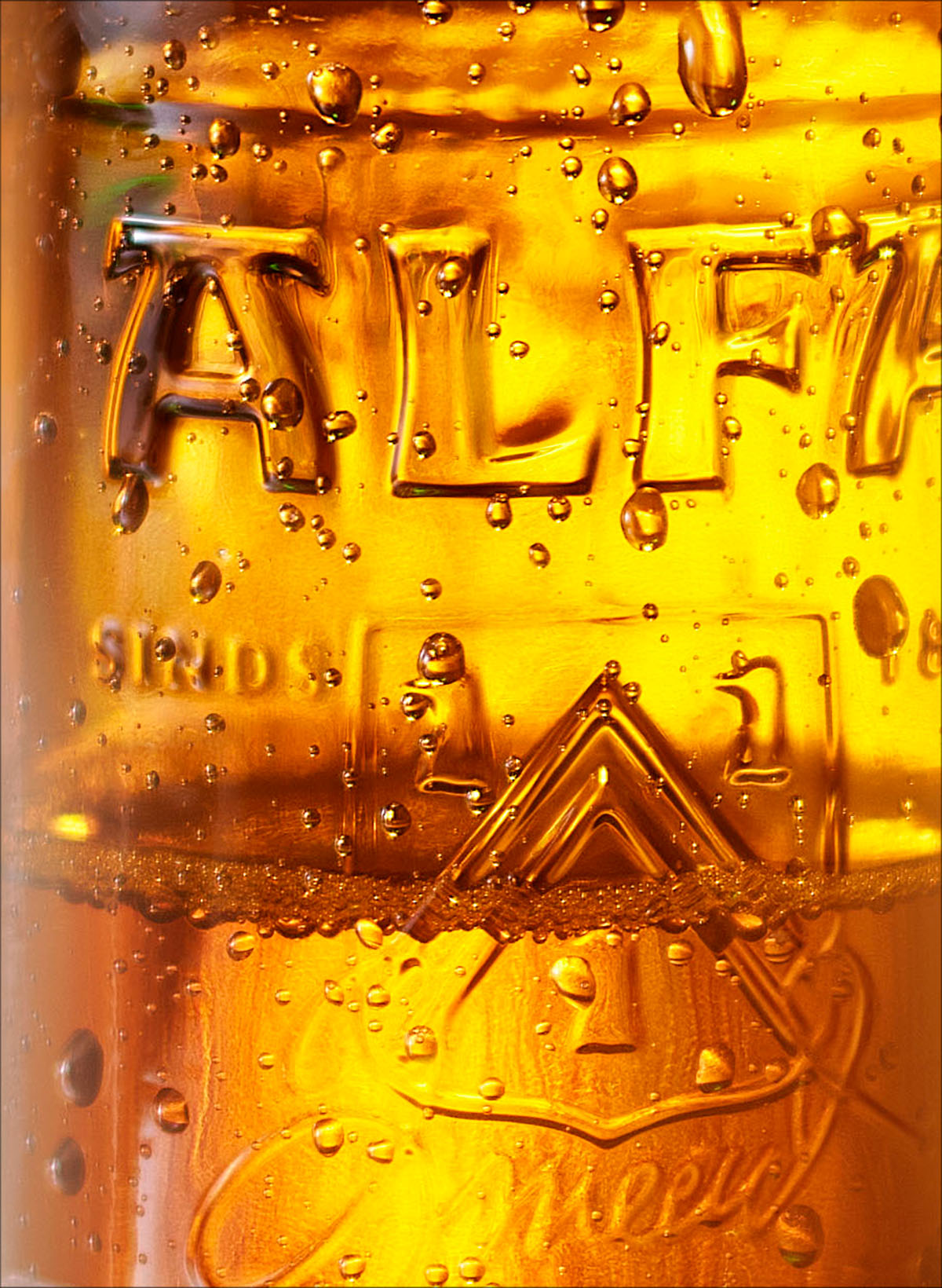 Drank fotografie van een bierfles met druppels g emaakt door Studio_m Fotografie Amsterdam